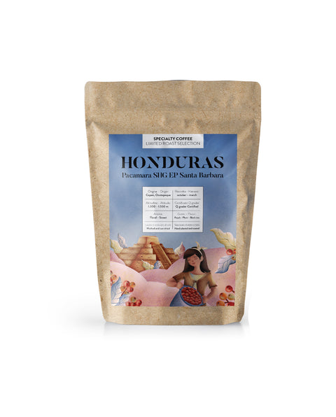 Caffè specialty Honduras Pacamara Rossini